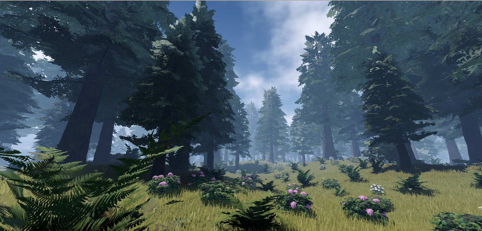 Misty Forest Meadow