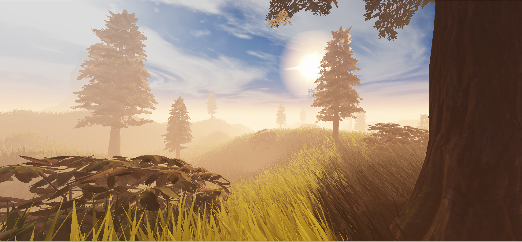 Misty Pine Forest